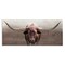 Stupell Industries Rustic Western Longhorn Canvas Design by Carol Robinson